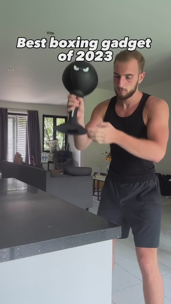 Desktop punching bag